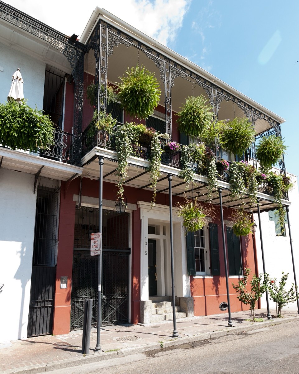Ferns and flowers spilling from a cast-iron French Quarter balcony